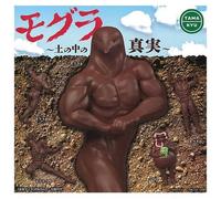 Tamakyu Mole Il Truth IN The Soil Set Di 5 Figura Capsula Giocattolo Giappone