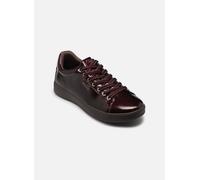 Tamaris - 23720-43 Bordeaux - Sneakers 42 Bordeaux