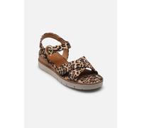 Tamaris - 28202-42 Marrone - Sandali e scarpe aperte 38 Marrone