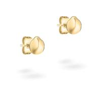 Tamaris orecchini a bottone im organischen Design TJ-0581-E-08 IP oro