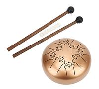 Tamburo Etereo a Percussione, Tamburo per Lingua da 5,5 Pollici Resistente Alla Corrosione con Bacchette per l'educazione Musicale dei Bambini