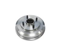 Tamburo freno LPR 7D0591