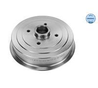 Tamburo freno per CHEVROLET DAEWOO 29-15 523 0010
