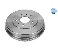 Tamburo freno Assale posteriore per FORD ECOSPORT FOCUS