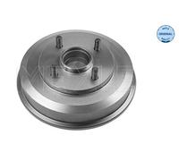 Tamburo freno Assale posteriore per FORD FOCUS