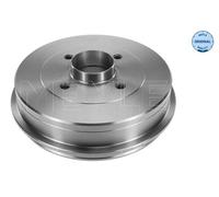 Tamburo freno Assale posteriore per NISSAN RENAULT KANGOO KUBISTAR