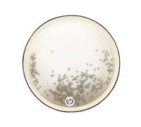 Tamburo Oceano Trasparente Da 6 Pollici Strumento A Percussione Educativa Precoce Per Bambini Ragazze Ragazzi Con Suono Delle Del Mare