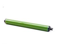 Tamburo OPC a lunga durata CMY for Xerox 5580 7780 DC240 250 252 WC7655 7665 7675 7755 7765 7775 5065 6550 7500 colore verde