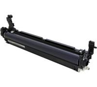Ricoh D2442209 tamburo per stampante Originale 1 pz (D2442209)