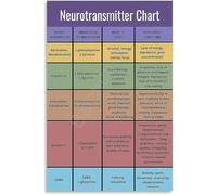 TAMDDBPJD Brain Function Chart Neurotransmitter Educational Poster Canvas Wall-Art for Psychology Study and Room Decor(Unframed,12x18inch(30x45cm))