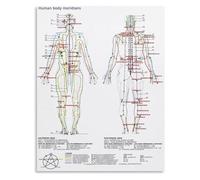 TAMDDBPJD Chinese Meridian Acupuncture Poster Five Elements Theory Chart Qi Flow Reference for TCM Clinic Office Decor(Framed,08x12inch(20x30cm))