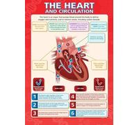 TAMDDBPJD Circulatory System Anatomy, Labeled Human Heart Diagram with Major Vessels, Middle School Science Classroom Wall-Art(Framed,16x24inch(40x60cm))