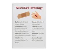 TAMDDBPJD Clinical Wound Terminology Poster Canvas Wall-Art Drainage Types Chart Nursing Education Study Reference(Framed,12x18inch(30x45cm))