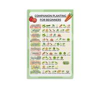 TAMDDBPJD Companion Planting Chart, Gardening Guide for Tomatoes Corn Beans Squash, Educational Wall-Art School Classroom Teacher Resource(Unframed,16x24inch(40x60cm))