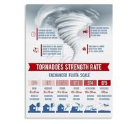TAMDDBPJD Cyclone and Storm Infographic Poster Tornado Hurricane Educational Science Chart Canvas Print Wall-Art for Classroom(Framed,16x24inch(40x60cm))