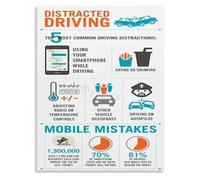 TAMDDBPJD Driver Awareness Poster Distracted Driving Educational Canvas Art for Office or Driving School(Unframed,16x24inch(40x60cm))