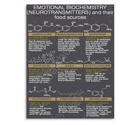 TAMDDBPJD Educational Neurotransmitter Chart Psychology Poster Brain Function Canvas Wall-Art for Study Bedroom Decor(Unframed,12x18inch(30x45cm))