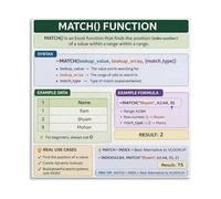TAMDDBPJD Excel Reference Guide MATCH Function Formula Canvas Wall-Art for Data Analysis Home Office and Computer Decor(Framed,08x12inch(20x30cm))