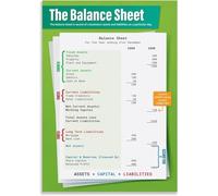 TAMDDBPJD Home School Business Poster - The Balance Sheet Educational Chart for Accounting Studies(Unframed,16x24inch(40x60cm))