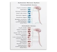 TAMDDBPJD Nervous System Hack Chart Educational Infographic for Optimal Performance Under Stress Canvas Wall-Art for Executive Office(Framed,12x18inch(30x45cm))