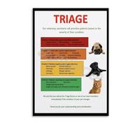 TAMDDBPJD Pet First Aid and Triage Guide Educational Reference Chart Poster for Pet Owners Classroom or Groomer Shop(Unframed,08x12inch(20x30cm))