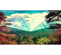 Tame Impala Innerspeaker (Vinyl LP) 12" Album