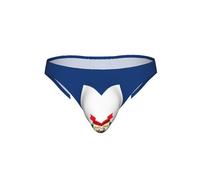 Tamiger West Virginia State Flag Print Slip bikini da uomo traspirante elastico intimo morbido setoso ad asciugatura rapida costumi da bagno, Nero , XL