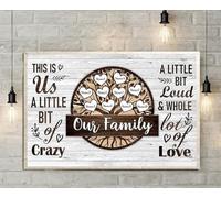 TammieLove Targa decorativa da parete in latta con scritta "This Is Us A Little Bit Of Crazy Family", regalo per casa, giardino, 20,3 x 30,5 cm, TinSignEUa42285