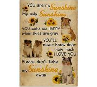 TammieLove Targa in metallo con scritta in lingua inglese "Don't Take My Sunshine Away Shetland Sheepdog for Dog Lover", decorazione da parete per garage, 20,3 x 30,5 cm