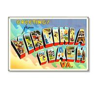 TammieLove Targa in metallo da 20,3 x 30,5 cm, motivo: Virginia Beach va Old Retro Vintage Travel Cartolina Riproduzione Metal Sign Art Wall Decor, TinSignEUa20215