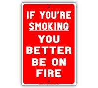 TammieLove Targa in metallo in alluminio, 20,3 x 30,5 cm, con scritta in inglese "If You're Smoking You Better Be On Fire", divertente poster decorativo da parete