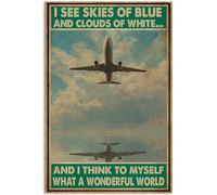 TammieLove Targa in metallo retrò con scritta in inglese "Pilot I See Skies Of Blue I Think To Myself What A Wonderful World", poster del Ringraziamento 20,3 x 30,5 cm, TinSignEUa45140