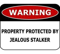 TammieLove Warning Property Protected by Jealous Stalker - Targa in latta con scritta "Warning Property Protected by Jealous Stalker", 20 x 30