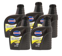 Tamoil Sint Future Champion 5 Litri Olio Motore 2 Tempi Totalmente Sintetico