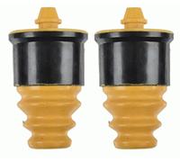 Paracolpi, sospensione SACHS 900 313