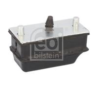 Tampone paracolpo, Sospensione Assale anteriore per IVECO DAILY