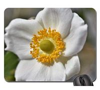 Tampone per Mouse, Anemones White Plant Nature Flower Bloom Flower Tappetino per Mouse Ergonomico Gaming Mousepad Liscia Tappetini per Il Mouse da Gioco per Computer Notebook 25X30Cm