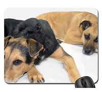 Tampone per Mouse, Black Mouth Cur Rescue Dogs Shepard Tappetini Mouse Pratica Tappeto Mouse Personalizzato Tappetino Mouse Gaming per Notebook Gaming 25X30Cm