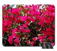 Tampone per Mouse, Bougainvillea Magenta Pink Spain Marbella Summer Tappetini per Il Mouse da Gioco Liscia Tappetino Mouse Gaming Bordi Cuciti Tappetino per Il Mouse da Gioco 25X30Cm