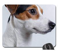 Tampone per Mouse, Dog Jack Russell Terrier Puppy Pet Adorable Tappetini per Il Mouse Bordi Cuciti Tappetino per Mouse Antiscivolo Tappetino da Gaming per Casa Pc 25X30Cm