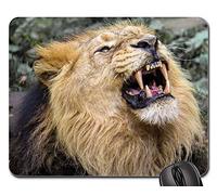 Tampone per Mouse, Lion Predator Cat Zoo Nuremberg Close Tooth Tappetini per Il Mouse da Gioco Liscia Tappetino Mouse Gaming Ergonomico Tappetino Mouse per Gaming Ufficio 25X30Cm