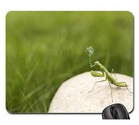 Tampone per Mouse, Praying Mantis Insect Green Smoker Smoking Fun Gaming Mousepad Personalizzato Tappetino per Mouse Pratica Tappeto Mouse per Laptop Ufficio 25X30Cm