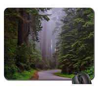 Tampone per Mouse, Redwood National Park California HDR Landscape Tappetino da Gaming Confortevole Tappetini per Il Mouse da Gioco Ergonomico Gaming Tappetino Mouse per Laptop Pc 25X30Cm