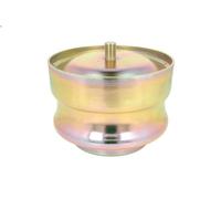 Tampone, pistone rotolamento (soffietto molla ad aria) per FR1 9.839 1983-