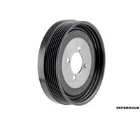 Tampone Puleggia Albero Motore Per BMW X3 E83 2.0 I 2005-2008 RKP/BM/049AB