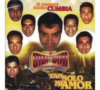 Tan Solo Mi Amor by Efren David Rivera