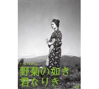 Tanaka Shinji - Nogiku No Gotoki Kimi Nariki [Edizione: Giappone]