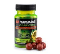 Tandem Baits Carp Food Perfection Mini Oil Hookers Sardina del Pacifico | Carpfishing Pesche Pesca Accessori | Alimentatore per la Pesca Carpa | Pesca Accessori alla Carpa 12mm 50g