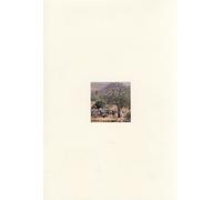 Taneka Beri. Premio Internazionale Carlo Scarpa per il Giardino, Ventiduesima Ed