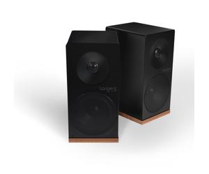 Tangent spectrum X5 coppia diffusori 2 vie passivi